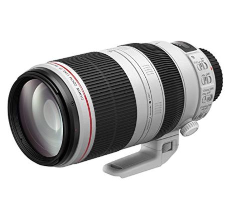 Canon EF 100-400mm F4.5-5.6L II USM